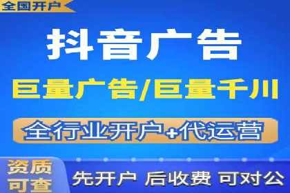 案例对比：不同竞价广告平台的优劣